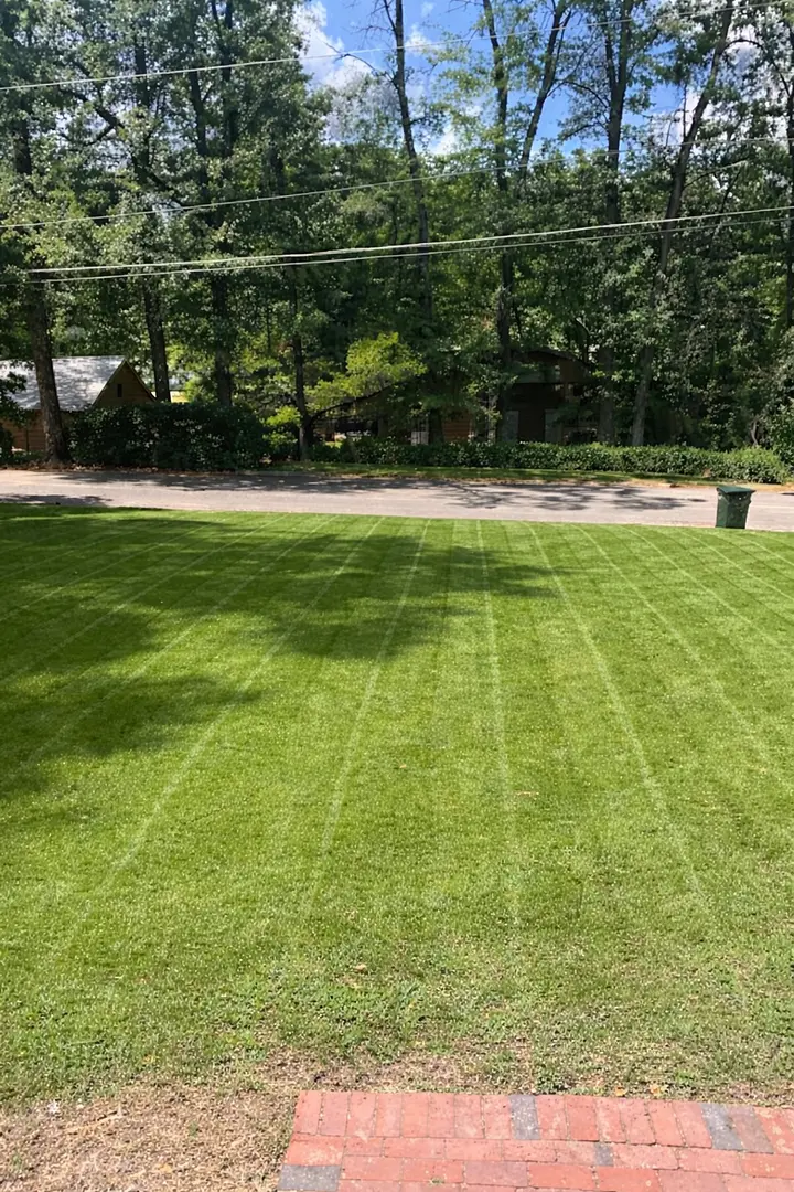 Freshly striped, healthy lawn in Auburn, Alabama